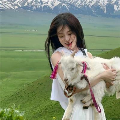 七级公务员 封面